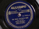 Morris Brothers BLUEBIRD 7903 E/E+ 