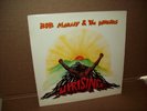 Bob Marley & The Wailers Uprising 1980 Island Records ILPS 9596 NM