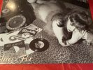 The Cramps - Blue Fix - 10” Vinyl - New & Sealed.
