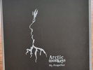 Arctic Monkeys My Propeller 10