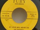 Channels MY LOVE WILL NEVER DIE/BYE BYE BABY(DOO WOP 45) #1021 PLAYS VG+