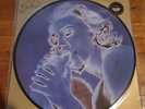 Madonna Erotica 30th Anniversary 12