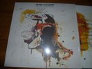 RARE VINYL PETER DOHERTY GRACE WASTELANDS ORIG EU PRESS 2009 IN TOPCONDITION