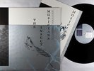 Graeme Revell - The Insect Musicians LP - Musique Brut UK VG++