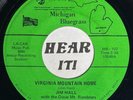 Great MI Bluegrass 45 JIM HALL Virginia Mountain Home / If You Run JESSUP mp3 EX