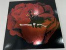 Smashing Pumpkins Adore 2014 Remastered 2LP Vinyl Reissue