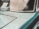Peter Gabriel - Peter Gabriel 1 (Car)  Vinyl Record/LP *NEW*