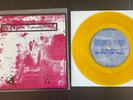 TURNING POINT NO ESCAPE OG 1st PRESS Gorilla Biscuits Chain Strength Judge Sxe