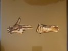 Run The Jewels Stay Gold Collector's Edition - Brand New, Free Shipping