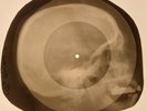 Beatles - Please Mister Postman X-RAY SKULL BONES RECORDS USSR 151