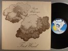 Ricotti & Albuquerque  First Wind   Jazz Rock  UK Import  Pegasus Records
