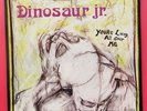 Dinosaur Jr ‎– 'You're Living All Over Me' LP 2011 US Reissue Remaster Indie NM