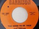 The Traits / Too Good To Be True / Gotta Keep My Cool / Vinyl / 60s Soul