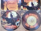 Hammerfall / No Sacrifice, No Victory / 2x Picture Disc LP / 12inch vinyl