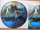 In Flames / A Sense of Purpose / Picture Disc LP / 12inch vinyl