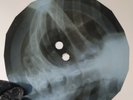 DOORS PEOPLE ARE STRANGE X-Ray USSR Record Roentgen Bones RIBS Music Vinyl