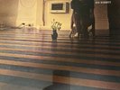 SHVL 765 Syd Barrett The Madcap Laughs UK Vinyl Record NEW SEALED