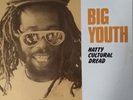 Big Youth - Natty Cultural Dread - Trojan Records - LP Album 12