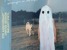 Phoebe Bridgers - Stranger in the Alps GALAXY VINYL LP 5th Anniversary IN HAND
