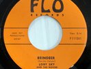 LORY SKY & NOVAS 45 Reindeer/Always Be Christmas Tree VG++ Flo rare teen  Mc1048