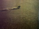 Kayak - Royal Bed Bouncer LP (VG/VG) .