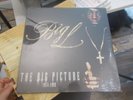 Big L The Big Picture (1974 - 1999) posthumous release from 2000 2LPs SEALED