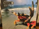 Fat of the Land by Prodigy (Record, 1997)