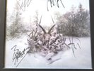 Autographed  all members of Soundgarden Chris Cornell King Animal vinyl