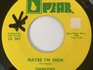 Timmothy Maybe I’m High 45 Psych Loner Garage Punk Folk Michigan Pear