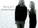 Robert Plant, Alison Krauss - Raising Sand (NEW 2 VINYL LP)