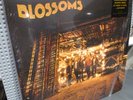 BLOSSOMS Blossoms (2016) Debut Vinyl LP - Original 2016 Release with Booklet