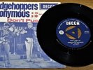 Rare S. AFRICA = HEDGEHOPPERS ANONYMOUS Don't Push Me. P/Sleeve 45 Tri-Centre M-