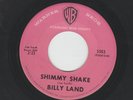 ROCKABILLY 45 -  BILLY LAND  - AKA JOE SOUTH - SHIMMY SHAKE -HEAR - 1959 WB