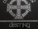 DESTINY LP 1ST PRESS 1990 RARE  Oi REBELLES ROR ROCK O RAMA ISD