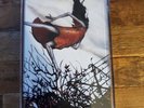 Circa Survive Juturna Cassette