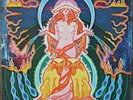 HAWKWIND – SPACE RITUAL - 1st GERMAN – DOLP – 1973 - EX+