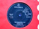 SOLOMON KING . This beautiful day . TORCH gem play .