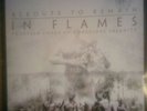 LP In Flames-Reroute To Remain