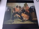 The Flamin' Groovies – Teenage Head  -  ALBUM 33T 12