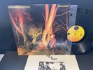 ECHO & the BUNNYMEN / CROCODILES 1980 w/inner SIRE SRK-6096  plays  NM