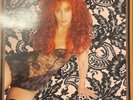 Cher -Cher's Greatest Hits: 1965-1992. 2 x Vinyl LP Compilation Album