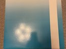 The Field Mice For Keeps vinyl lp