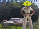 DOPE LEMON (Angus Stone) 'Rose Pink Cadillac' PICTURE DISC Vinyl 2LP NEW/SEALED