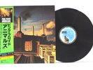 PINK FLOYD 