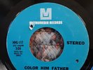 WINSTONS-Color Him Father/ Amen, Brother 45 (EXC) (Cutout) 1968 Soul Metromedia