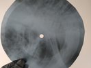 NINA SIMONE NINA'S BLUES Ray USSR Record Roentgen Bones Ribs Music Vinyl