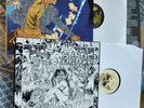 SEPTIC DEATH Theme From Ozobozo & Now That I Have The Attention LPs NEW pushead