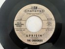 Rare   Tittyshaker Surf 45   The Cherokees 