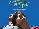 Various - Call Me By Your Name (Original Motion Picture Soundtrack) - Double LP