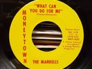 The Mandells - What Can You Do For Me - Moneytown 45 VG++ SWEET/NORTHERN SOUL